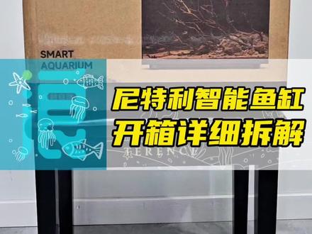 尼特利智能鱼缸全网首发开箱讲解 带大家详细了解一下这款缸都有哪些功能,从外观到过滤具体的结构设计,有哪些亮点和其他智能鱼缸相比的不同之处 #智能鱼缸 #尼特利智能鱼缸 #鱼缸