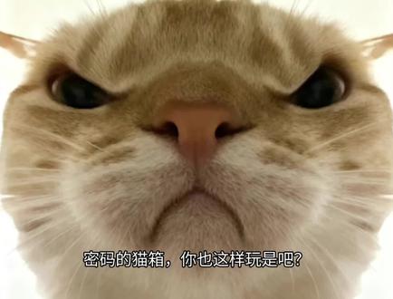 这猫箱长土豆服务器了吗?咋一发就违规? #猫箱 #AI对话 #Ai