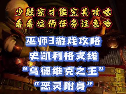#创作灵感 #巫师3 #巫师3狂猎
【巫师3游戏攻略】史凯利格支线“乌德维克之王”和“恶灵附身”完美结局注意事项(血和泪的教训)