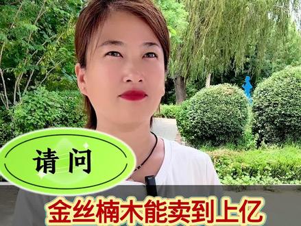 #金丝楠木能卖到上亿树苗十元一颗为什么没人种呢#知识普及分享 @抖音来客官方助推官 @抖音小助手 @抖音作者助手