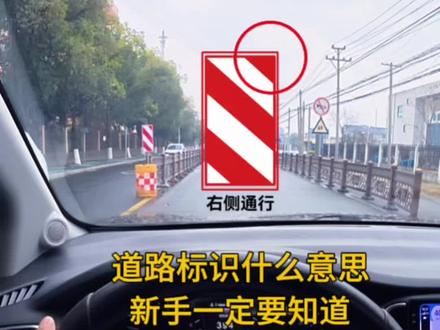 新手上路道路交通标识一定要知道,可以避免违章扣分#交通标识 #驾驶技巧 #新手上路开车技巧