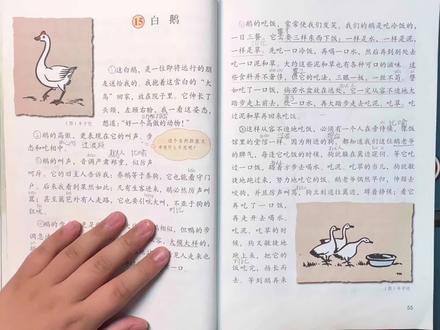 四年级《白鹅》重点:什么是语言的趣味?
不用死记硬背,带孩子真正体会:
拟人写活白鹅性格、对比突出高傲神态,
明贬实褒藏着满满的喜爱,文字有画面、有幽默、有温情,读懂语言趣味,才算真正学透这篇课文。
#小学语文 #课文精讲#四年级下册语文#丰子恺#白鹅