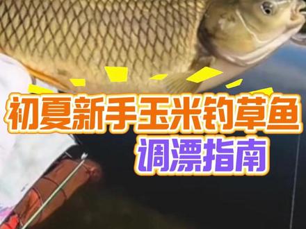钓鱼高手分享夏季钓草鱼新手调漂方法,新手也能轻松上大鱼 #钓草鱼 #调漂教程 #草鱼饵料 #草鱼窝料 #野钓