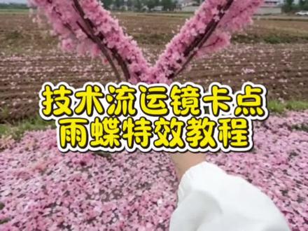 雨蝶特效卡点技术了教程来了!#小云雀AI #小云雀AI一镜到底 #小云雀AI一键图片设计 #小云雀AI视频 #雨蝶卡点特效