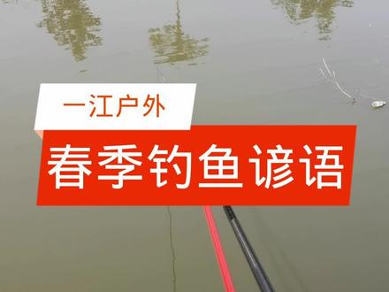 春季钓鱼谚语 #钓鱼 #钓鱼技巧 #钓鱼人#钓鱼知识 #钓鱼的乐趣只有钓鱼人懂