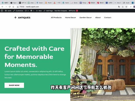 独立站自定义导航菜单教程(基于wordpress+woocommerce独立站) #独立站