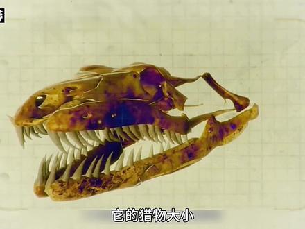 六千万年前的史前巨蟒有多猛?泰坦巨蟒狩猎巨鳄,一口吃成大胖子#远古生物 #史前巨兽 #蟒蛇 #侏罗纪 #未知生物 #古生物 #泰坦巨蟒 #史前掠食者 #内容启发搜索 #抖音野生娱评人