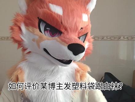 在会场发塑料袋跟白袜,本质上就是侮辱!我是真的没看懂,为什么会有人去维护这种人呢?甚至有人觉得他是好人?#furry #兽头 #兽装fursuit #兽装 #furry控