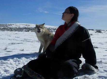 重返狼群后续来了,时隔一年七个月,李微漪重返公众视野,特意回应了网友的诸多疑问,而我们也从见证者变成了参与者!#格林 #李微漪 #重返狼群 #重返狼群背后的故事 #感人