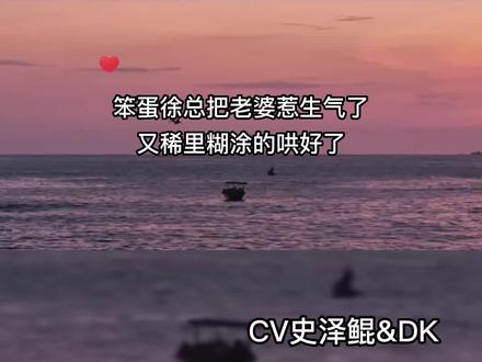 两个笨蛋的爱情故事!(汤汤真的好软好想rua)#广播剧 #纯真丑闻 #史泽鲲 #卢力峰dk #声优都是怪物