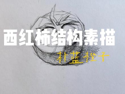素描基础:西红柿结构素描(入门)