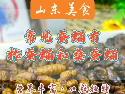 常见的两种蚕蛹有什么区别 #蚕蛹 #蚕蛹蛋白 #蚕蛹挑战 #蚕蛹美食