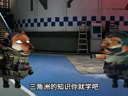 这些保险知识你知道吗? #三角洲保险箱 #三角洲行动 #三角洲行动手游 #三角洲小剧场