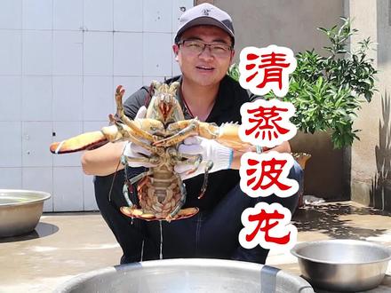 770买只5斤多花皮波龙,做清蒸波龙,肉质劲道鲜美,喝点酒过瘾#新农人计划2021 #抖音美食创作人