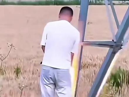 11月22日信息差#信息差#社会新闻#新闻#社会热点