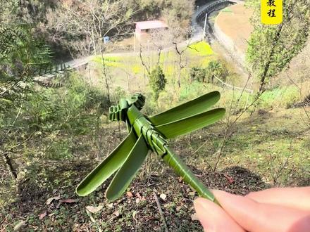 超实用的树叶编蜻蜓教程,建议家里有小朋友收藏起来。#农村生活 #手工 #原创