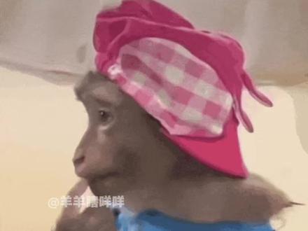 只有酷腾背诵的世界达成了#酷酷的滕 #李飞 #喜人#张杰演唱会