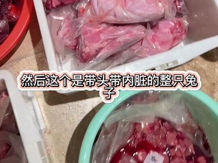 一次做了200斤生骨肉是种怎样的体验…#雪mm布偶猫 #自制猫饭 #布偶猫舍