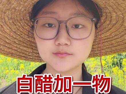 白醋加一物,黄瓜高产挡不住#黄瓜 #黄瓜种植 #黄瓜种植技术 #农业 #农业种植