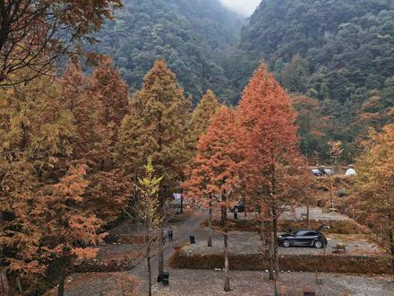 三刷崇州,我们找到了成都周边绝佳赏秋地,看绝美彩林,逛国风古镇,两日游攻略奉上~#崇州攻略 #极氪订阅服务