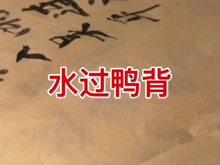 今日成语解释#水过鸭背#成语典故