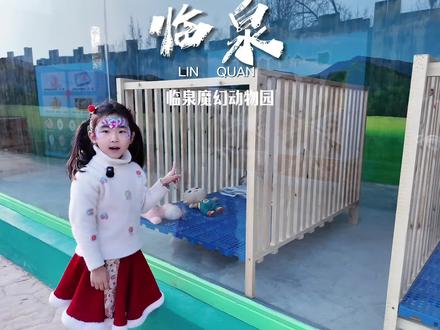 哇 临泉魔幻动物园这么好玩!
#春节哪里玩#春节看动物#春节看表演#临泉 #临泉魔幻动物园