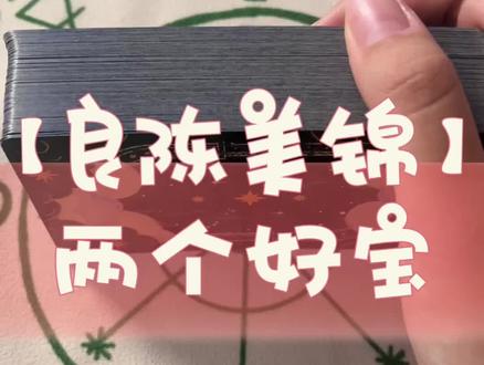 【良辰美锦】两个好宝(纯属虚构仅供娱乐请理智对待)#良陈美锦 #任敏 #此沙