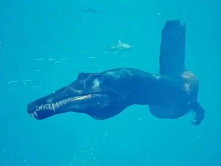 【棘斯拉】战神棘的陨落 #恐龙 #棘龙