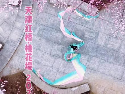 今日天津红桥桃花堤实景拍摄 明天(3月14日)正式开放 快去打卡吧!(航拍已合法报备)#桃梦红桥源启津门 #第35届天津运河桃花节