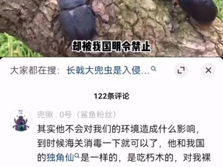 吐槽乱讲长戟大兜虫的营销号!!!!