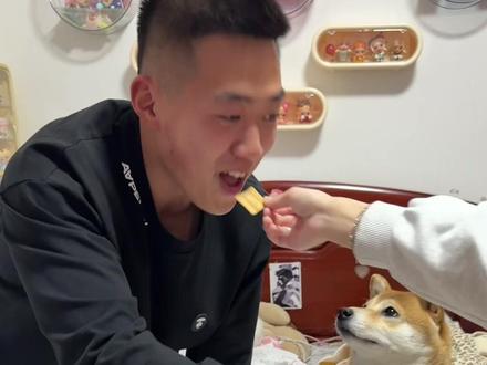 这不是欺负老实🐶吗!#柴犬 #蒸蚌 #萝卜纸巾猫咪模仿挑战 #情侣 #宠物