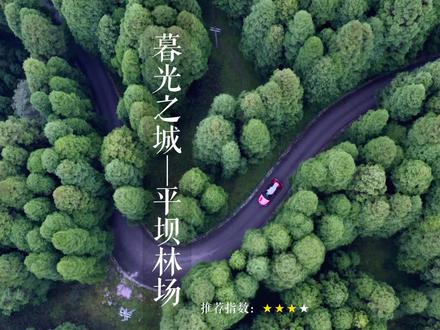 放慢脚步,你的暮光之城,从这里拉开帷幕!#贵州美好推荐官 #森林 #旅行推荐官 #贵阳周边景点