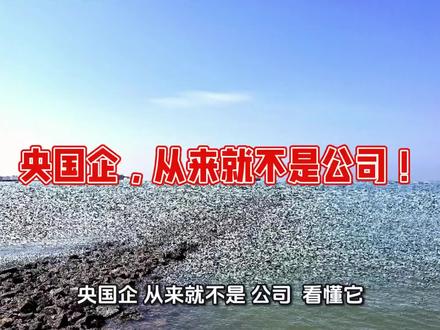 央国企,从来就不是公司!#热点 #央企#国企#涨姿势#公司日常 #涨姿势
