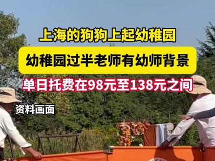 上海的狗狗上起幼稚园,幼稚园过半老师有幼师背景,单日托费在98元至138元之间