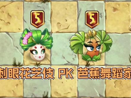 测试:同是五阶,刺眼花艺伎VS芭蕉舞蹈家,谁攻击力更强一些? #植物大战僵尸 #刺眼花艺伎 #芭蕉舞蹈家