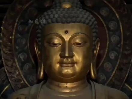 菜板子:为我发声👉👈