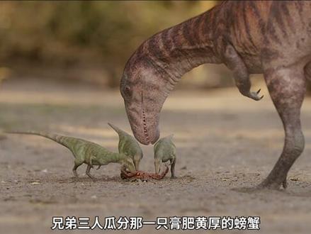 #史前星球 #魔鬼蟾蜍 你是哪个品种的癞蛤蟆?