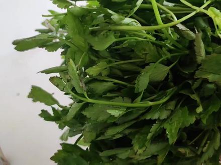 野生水芹菜你们吃过吗?这个味道真的太喜欢了,包饺子更好吃 #舌尖上的美食 #手工饺子 #地方特色美食 #大自然的馈赠 #民间传统美食 #饺子 #厨房里的欢乐时光 #生活就是柴米油盐 #幸福的味道