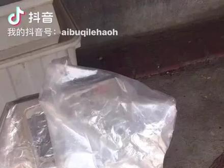 螃蟹干运十小时存活。#海鲜运输 #热门话题 #海鲜养殖技术 #变声