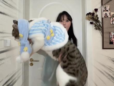 不敢想将会有多少猫咪被这样举起来拍照 #猫咪 #拍照技巧 #钓鱼佬 #万万想不到