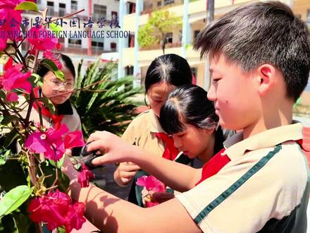 #植树节 #创意手工 做一枚书签🔖把春天留在纸上🌸