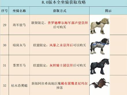 8.0坐骑全攻略,干货集结,快来收藏!