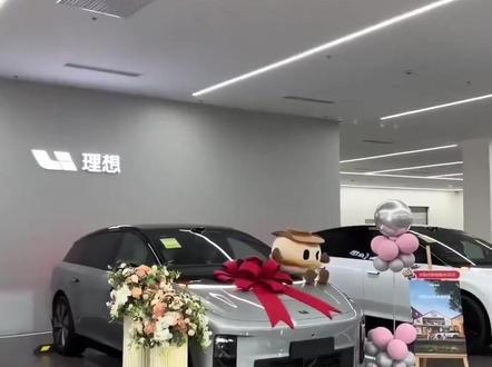 为什么理想车主连做好事都不能得到认可? #儿童误入车流被理想车主救下 #理想进行曲 #理想