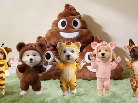 AI视频教程 | 宠物跳舞,1分钟学会 #狗狗跳舞 #猫猫跳舞 #AI六边形战士 #萌宠出道 #即梦AI