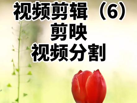 #视频剪辑 #剪映 #视频剪辑课 (6)视频分割@DOU+小助手