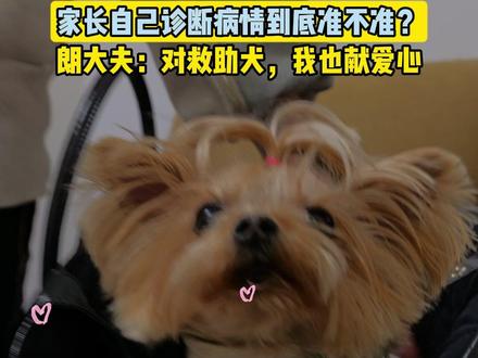 家长体验‘当兽医’,对它牙龈肿原因的判断准确吗? #狗狗 #宠物 #萌宠出道计划 #万物可爱计划 #狗狗牙结石