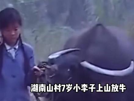 湖南山村惊曝绿色大蛇头,放牛娃吓得尿了一裤裆,结局寒了人心!#万物科普 #湖南 #大蛇头 #青铜