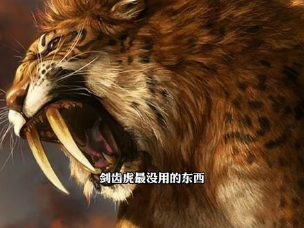 为什么剑齿虎宁愿用前肢摔死猎物,也不敢随便用牙齿咬骨头? 剑齿虎看起来最恐怖的长牙,其实却是它最脆弱的武器。真正决定它战斗力的,是堪称变态的前肢力量和独特的摔杀式捕猎方式。本文从身体结构、猎杀策略、化石证据到灭绝原因,完整还原剑齿虎真实而残酷的一生。#剑齿虎 #史前生物 #生物科普