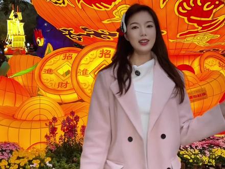 越秀新春灯会我们来啦!85组灯组齐聚一堂,好壮观!好有创意!今天一条视频告诉你怎么玩#旅游攻略 #旅行种草计划 #越秀公园 #广州旅游 #过年氛围提前搞起来了