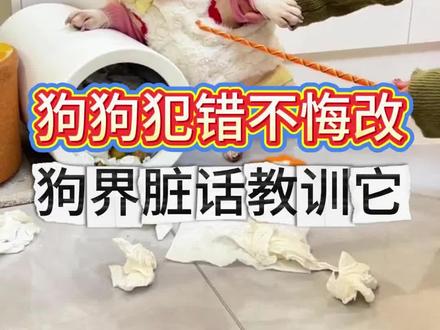 狗犯错 用狗语教训它 保证不再犯#新手养狗#文明养狗#科学养狗#科学养狗#狗狗语言